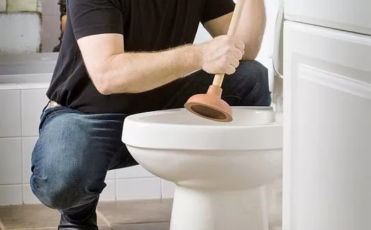 plumber demonstrating how to plunge a toilet