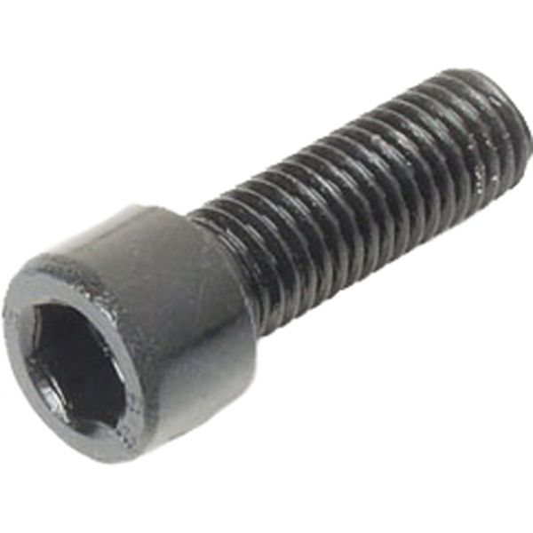 Milwaukee 05-88-0195 M4 T20 Torx Screw | PlumbersStock