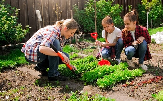 health benefits of gardening include mental wellness and stress relief