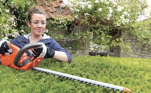 trimming the top of a hedge