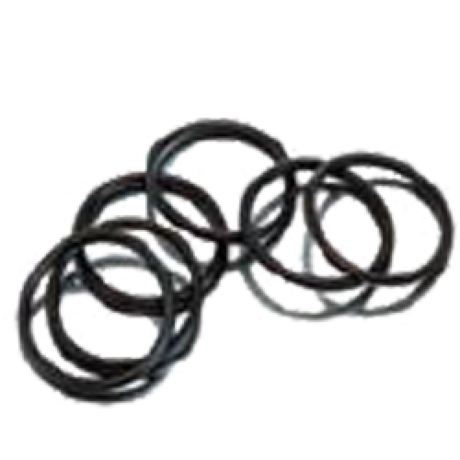 Action Filter 15100 Action Machining 15100 Replacement 223 O-Ring 1-1/2