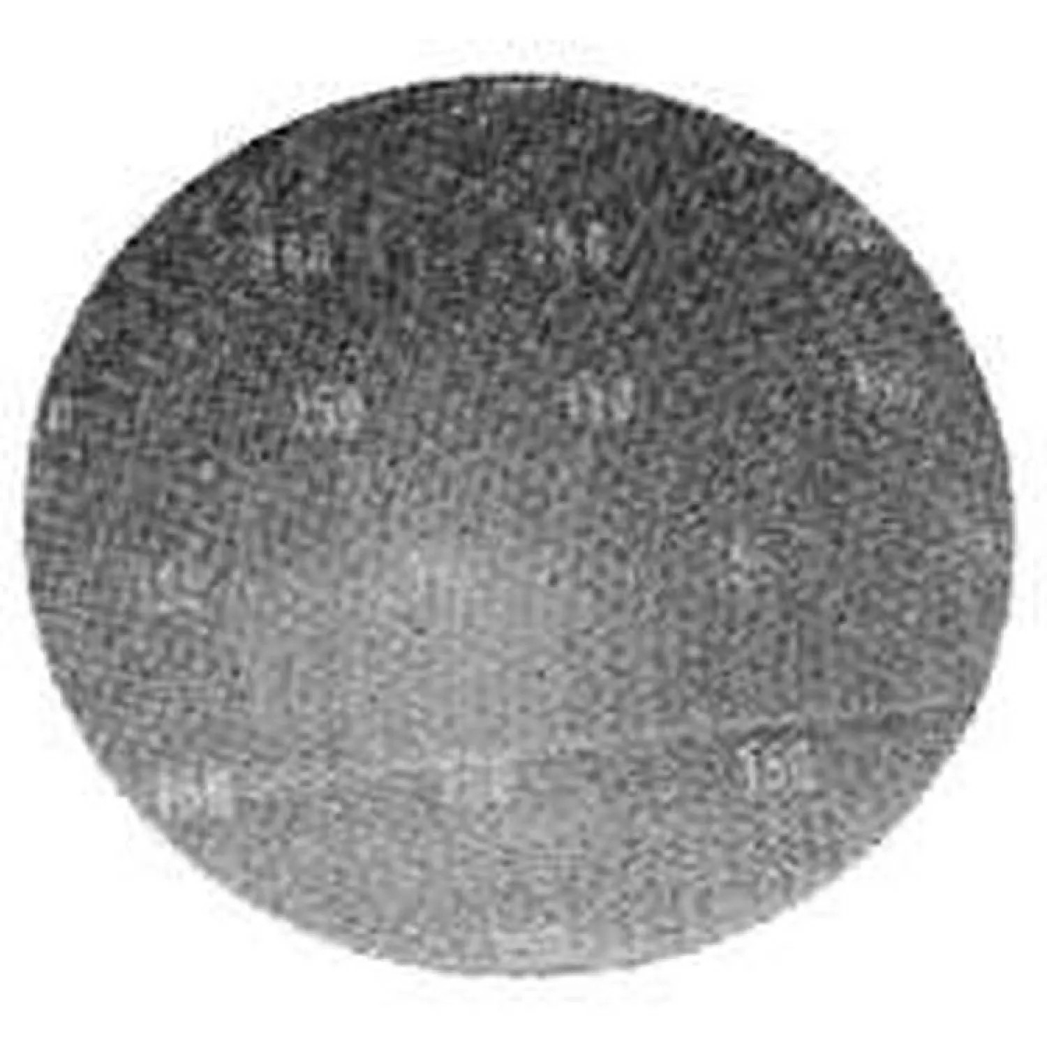 Essex 17SC100 Essex Silver Line 17SC100 Screen-Bak Sanding Disc, 17 in, 100 Grit