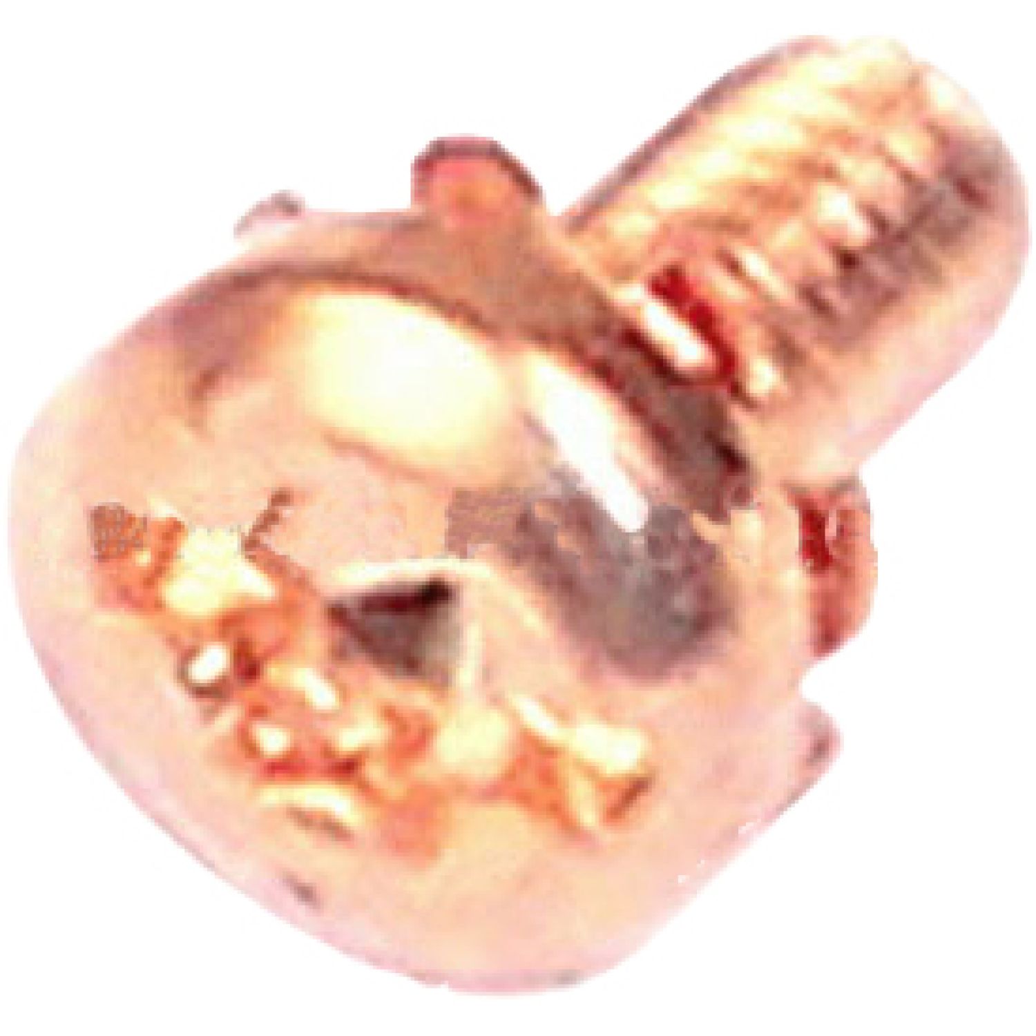 Milwaukee 05-78-0305 MILWAUKEE 05-78-0305 SWITCH SCREW