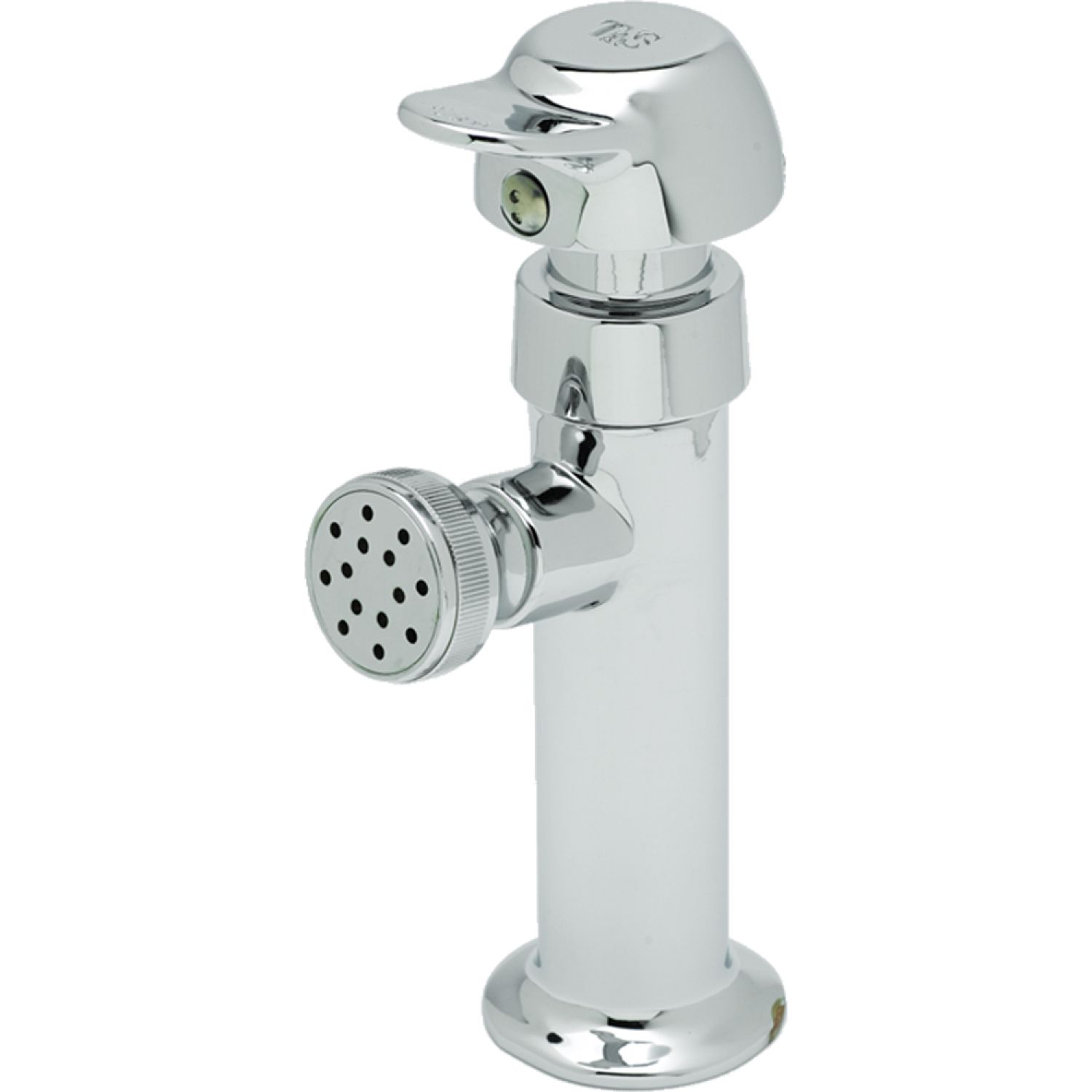 T&S Brass B-0800-PA T&S BRASS B-0800-PA WASH SINK FAUCET, PIVOT ACTION METERING, 1/2 NPT-F INLET,