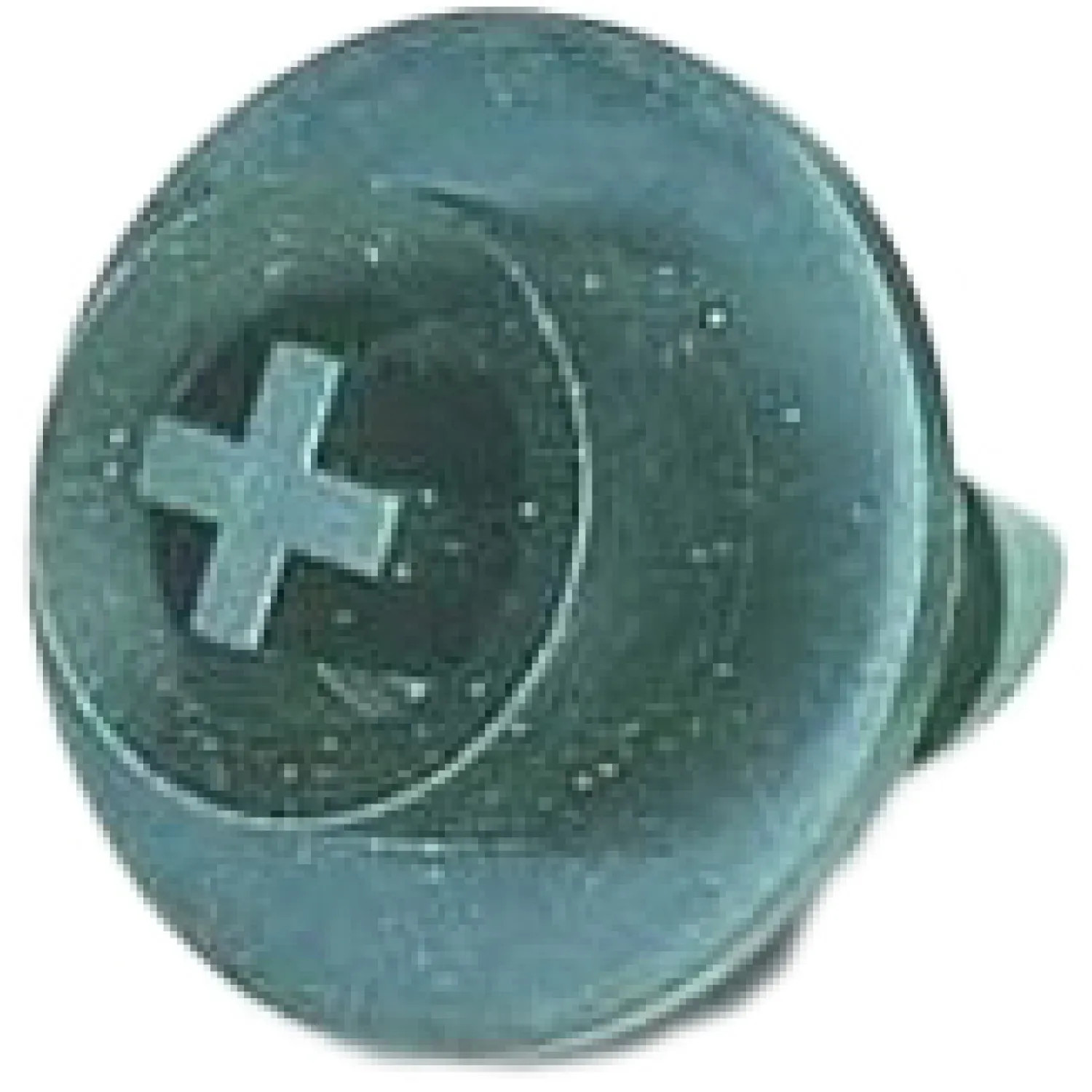 Rainbird DBC025 Rainbird DBC025 Bug Cap for 1/4