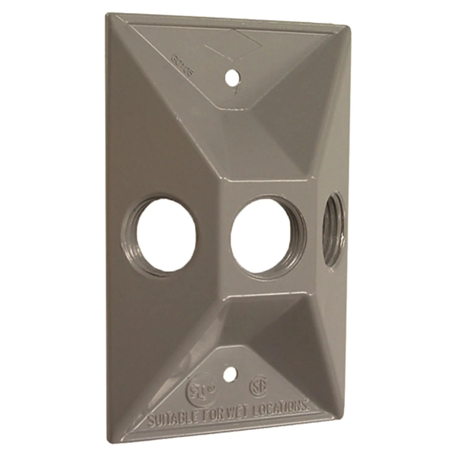 Bell 5189-5 Bell 5189-5 Gray Rectangular Cluster Cover with Three Threaded Outlets