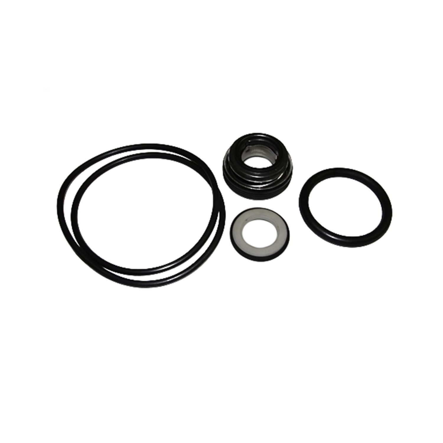 Red Lion 617300 Minor Repair Kit for 2RLAG-1L Pump | PlumbersStock