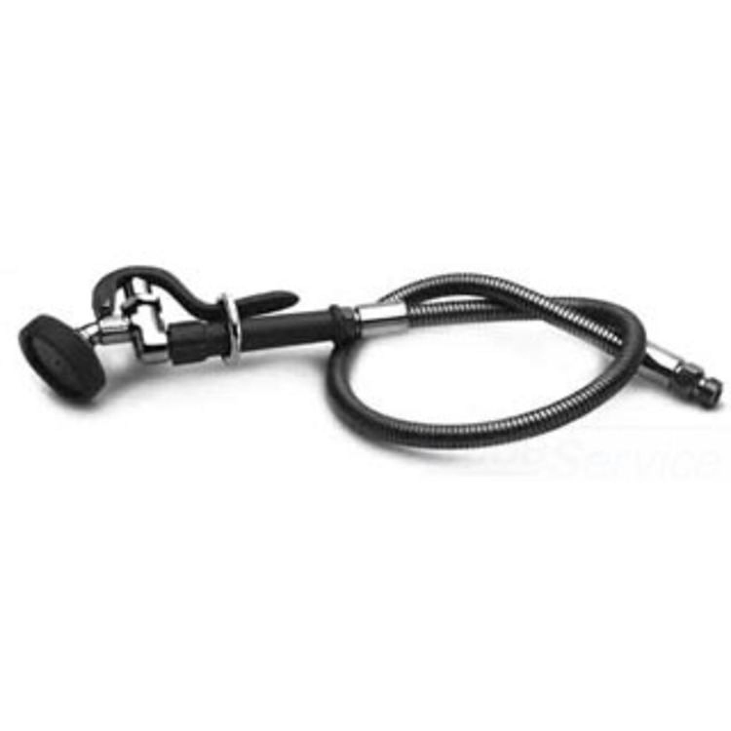 T&S Brass B-0950-54H T&S BRASS B-0950-54H SPRAY ASSEMBLY W/ 54