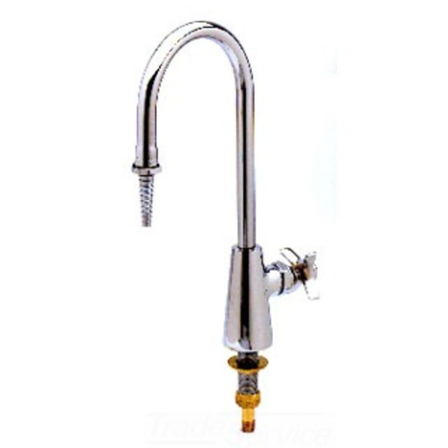 T&S Brass BL-5709-04 T&S Brass BL-5709-04 Single Temperature Laboratory Faucet