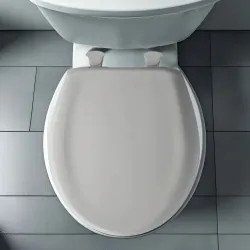 Click here to see Bemis 200SLOWT-162 Bemis Classic Colors EasyClean Round Toilet Seat with Cover, WhisperClose, StayTite Fastening, Plastic, Silver - 200SLOWT-162