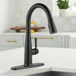Click here to see Delta 9113T-BL-DST Delta Essa Single Handle Pull-Down Kitchen Faucet, Touch2O, DIAMOND Seal, MagnaTite, ADA, 1.8 GPM, Matte Black - 9113T-BL-DST