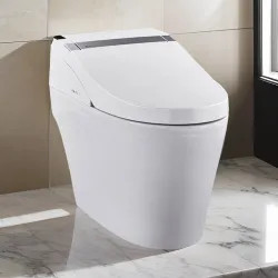 Click here to see ProStock PSBTWE1000 ProStock 1K Smart Toilet w/ Bidet Combo, White - PSBTWE1000