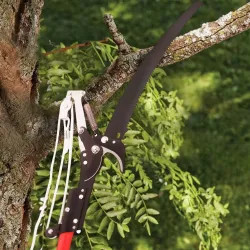 Click here to see Landscapers Select GS2103C Landscapers Select Tree Pole Pruner with Teflon Coated Blade and Telescoping Pole, 1-1/4