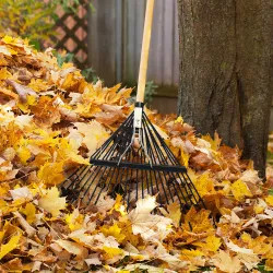 Click here to see Vulcan 34561 Vulcan Lawn/Leaf Rake, 54