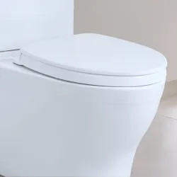 Click here to see Toto SS124#01 TOTO Elongated SoftClose Seat, Cotton White - SS124#01