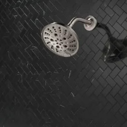 Click here to see Delta 52669-SS Delta H2Okinetic 5-Setting Traditional Raincan Shower Head, 1.75 GPM, Stainless - 52669-SS