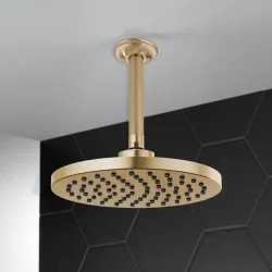 Click here to see Brizo 81398-GL Brizo Essential 10