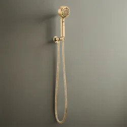 Click here to see Brizo 88876-PG Brizo Invari Multi-Function Wall-Mount Hand Shower with H2OKinetic, WaterSense, 1.75 GPM, Brilliance Polished Gold - 88876-PG