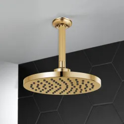 Click here to see Brizo 81398-PG Brizo Essential 10