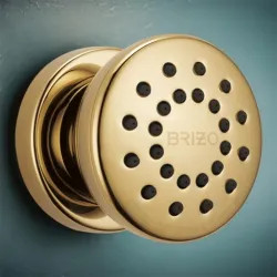 Click here to see Brizo 84110-PG Brizo Essential Round Body Spray with Touch-Clean Finish Spray Face, 1.75 GPM, Brilliance Polished Gold - 84110-PG