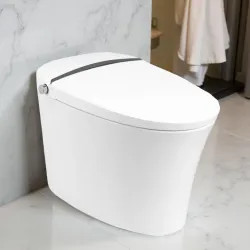 Click here to see ProStock PSBTWE2000 ProStock 2K Smart Toilet w/ Bidet Combo, 1.6 GPF, White - PSBTWE2000