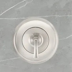 Click here to see American Standard TU106500.013 American Standard Patience 7in Round Polished Nickel Valve Only Trim, ADA-Compliant - TU106500.013