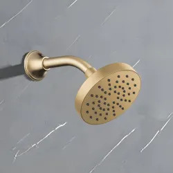 Click here to see Brizo 82392-GL-2.5 Brizo Essential 5