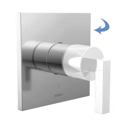 Click here to see Brizo T60P022-PCLHP Brizo Frank Lloyd Wright Pressure Balance Single-Handle Valve Trim, Less Handle, Polished Chrome - T60P022-PCLHP