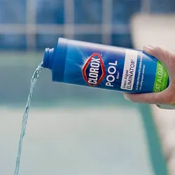 Click here to see  42432CLX Clorox Pool&Spa Algae Eliminator, 32 Oz, Blue/Green Liquid - 42432CLX 
