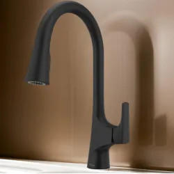 Click here to see Pfister GT529-NRB Pfister Norden Single-Handle Pull-Down Kitchen Faucet, Matte Black - GT529-NRB