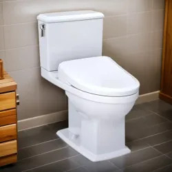 Click here to see Toto MW4944734CEMFGA#01 TOTO Connelly WASHLET+ Two-Piece Toilet with S7A Bidet Seat, Auto-Open/Close, 1.28/0.9 GPF, Auto-Flush, Cotton White - MW4944734CEMFGA#01