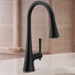 Click here to see Moen F9126BL Moen Kurv Single-Handle 3-in-1 Water Filtration Pulldown Kitchen Faucet, 1.5 GPM, Matte Black - F9126BL