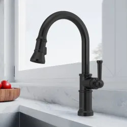 Click here to see Brizo 63025LF-BL Brizo Artesso Single-Handle Pull-Down Kitchen Faucet w/ 2-Function Sprayer, DIAMOND Seal, MagneDock, 1.8 GPM, Matte Black - 63025LF-BL