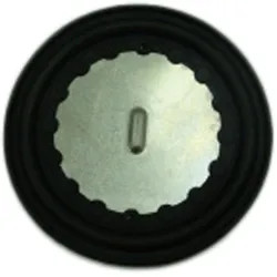 Click here to see Little Giant 108125 Little Giant Automatic Diaphragm Switch