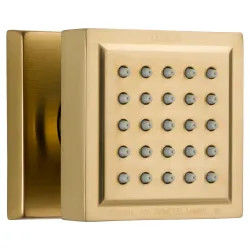 Click here to see Delta 50150-CZ Delta 50150-CZ Champagne Bronze Surface Body Spray Accessory
