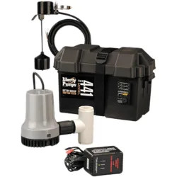 Click here to see Liberty 441 Liberty Pumps Emergency Sump Pump, 12 VOLTS Battery-Operated Backup System - 441