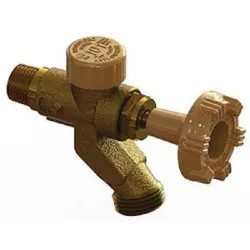 Click here to see Woodford 101PX Woodford 101PX Anti-Siphon Wall Faucet, 1/2