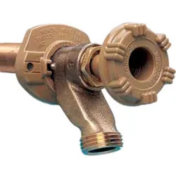 Click here to see Woodford 14CP-16-MH Woodford 14CP-16-MH Freezeless Wall Faucet 