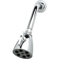 Click here to see T&S Brass B-1091 T&S BRASS B-1091 SHOWER HEAD WITH ADJUSTABLE BALL JOINT, 1/2