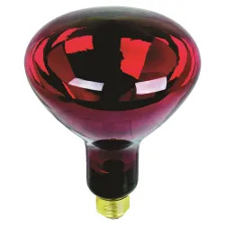 Click here to see Feit 250R40/R Feit Electric 250R40/R Dimmable Incandescent Lamp, 250 W, 120 V, Blown Reflector, 2000 hr