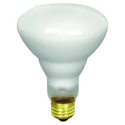 Click here to see Feit 65BR/FL Feit Electric 65BR/FL Incandescent Lamp, 65 W, 120 V, BR40, Medium Brass ,, 2000 hr