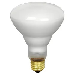 Click here to see Feit 65BR30/FL/RP Feit Electric 65BR30/FL/RP Incandescent Lamp, 65 W, 120 V, BR30, Medium Brass ,, 2000 hr