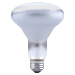 Click here to see Sylvania 65W/BR30/FL/IF Osram Sylvania 15160 Incandescent Lamp, 65 W, 120 V, BR30, Medium Aluminum Screw ,, 2000 hr