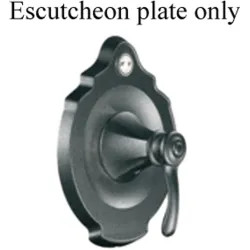 Click here to see Moen 133437PW Moen 133437PW Vestige Moentrol Escutcheon - Pewter