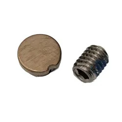 Click here to see Brizo RP90418GL Brizo RP90418GL Luxe Gold Set Screw And Button