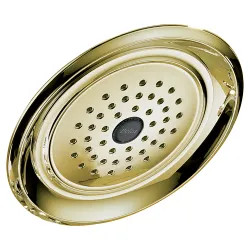 Click here to see Delta RP48686PB Delta Universal Showering 1.75 GPM Raincan Single-Spray Setting Showerhead, WaterSense, Touch-Clean, Full Body, Brilliance Polished Brass - RP48686PB