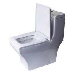 Click here to see Alfi TB356 EAGO TB356 One-Piece Elongated Toilet - White