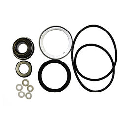Click here to see Red Lion 617301 Red Lion 617301 Minor Repair Kit for 6RLAG-2LST and 5RLAG-2L Aluminum Water Transfer Pumps