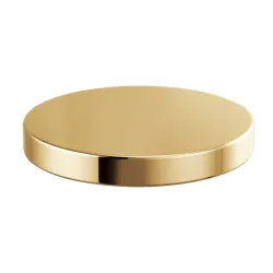 Click here to see Brizo RP90934PG BRIZO RP90934PG HOLE COVER POLISHED GOLD