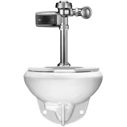 Click here to see Sloan 20501403 Sloan WETS-2050.1403 ST-2059 Water Closet and ROYAL 111 SMOOTH Flushometer (20501403)